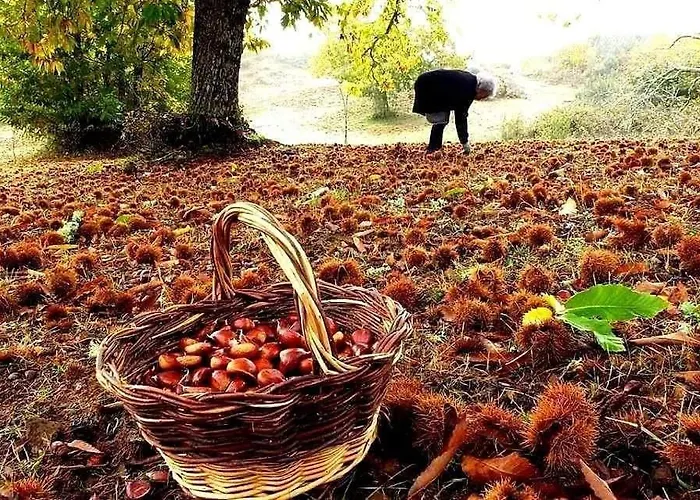 Casa Honorio * Santa Marina del Sil